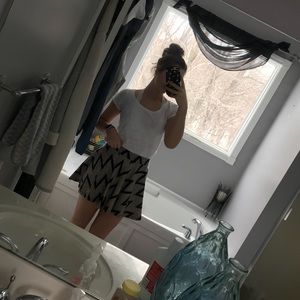 chevron skater skirt